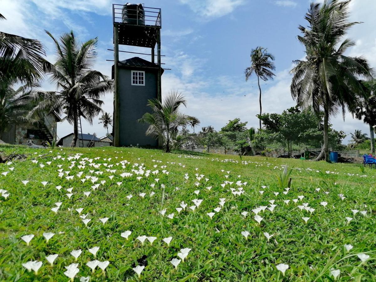 Afro Beach Eco Resort Butre Exterior foto