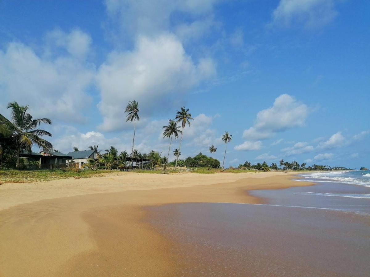 Afro Beach Eco Resort Butre Exterior foto