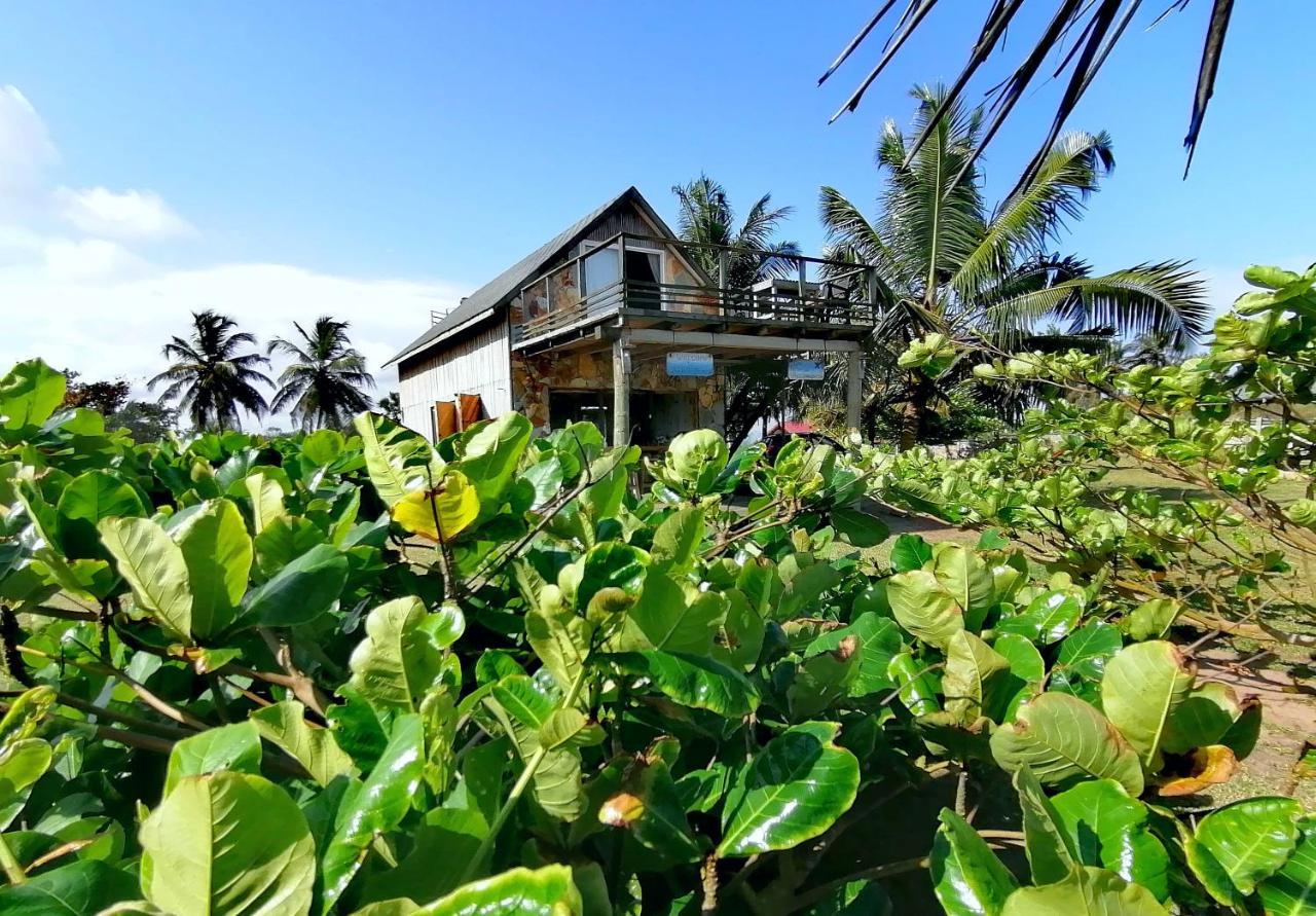 Afro Beach Eco Resort Butre Exterior foto