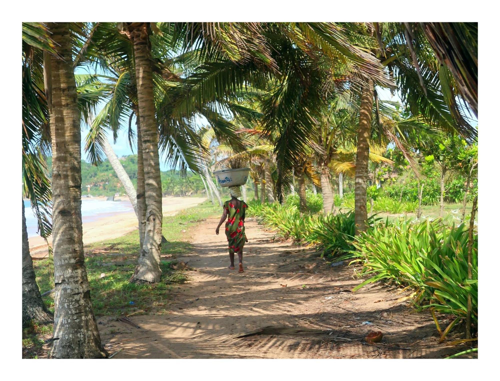 Afro Beach Eco Resort Butre Exterior foto