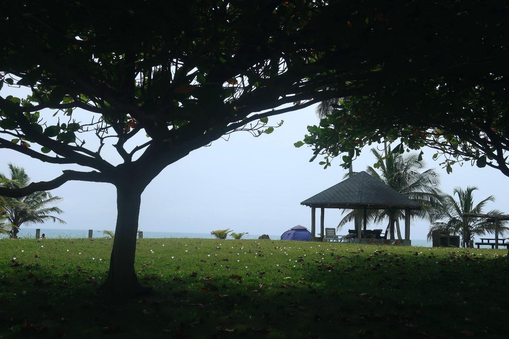 Afro Beach Eco Resort Butre Zimmer foto