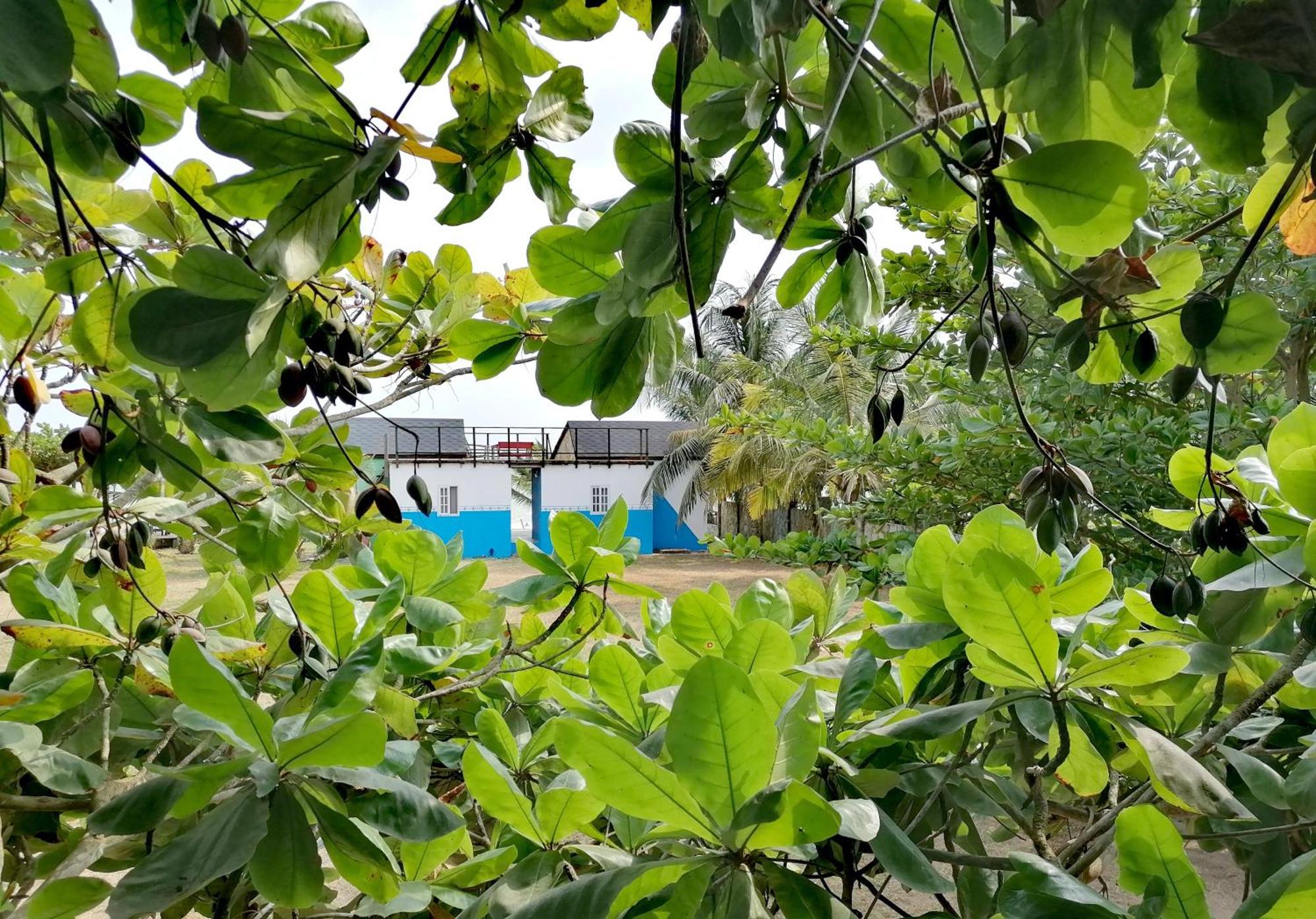 Afro Beach Eco Resort Butre Zimmer foto