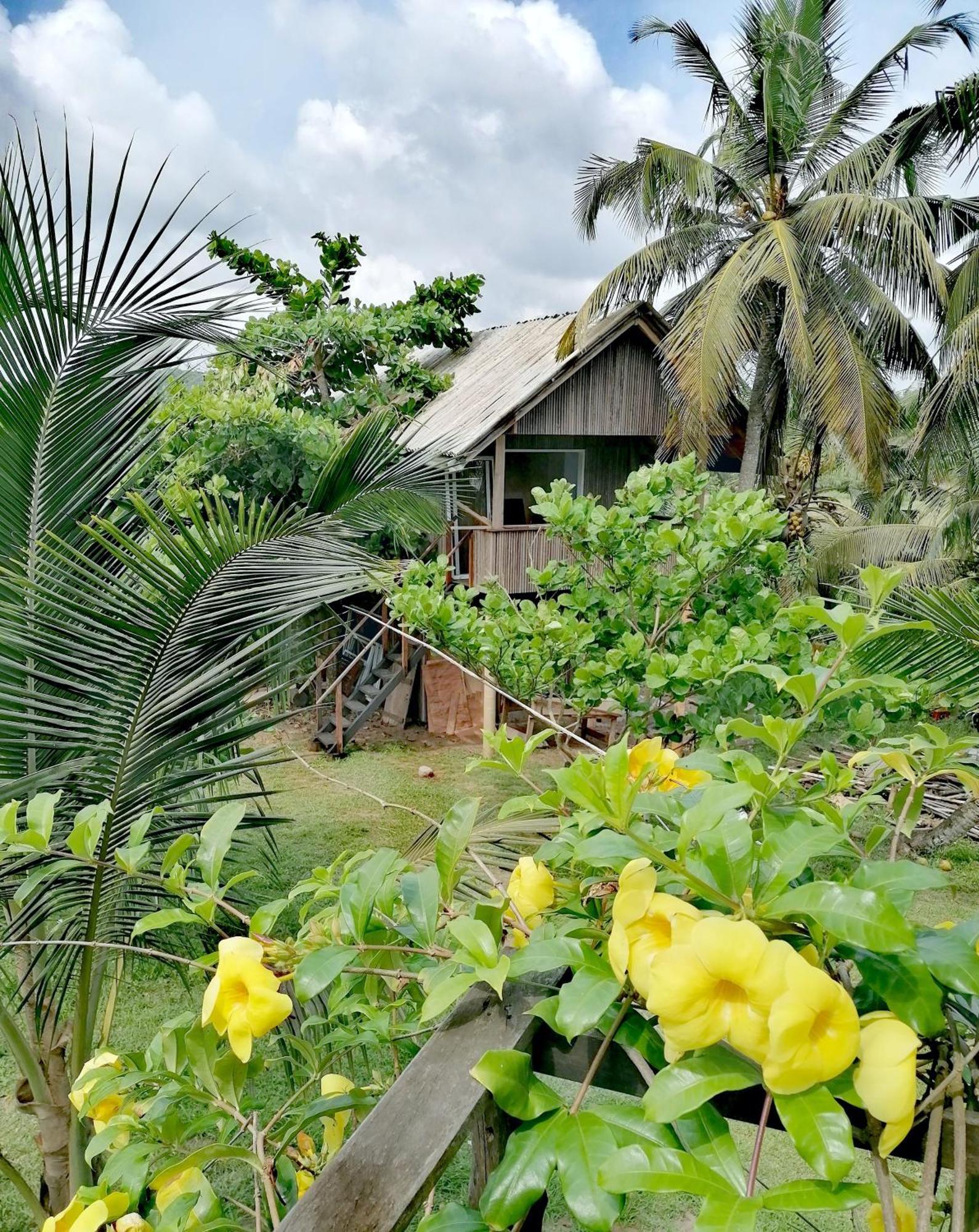 Afro Beach Eco Resort Butre Zimmer foto