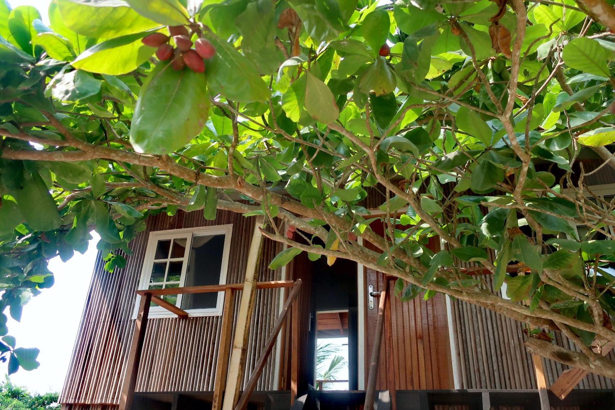 Afro Beach Eco Resort Butre Zimmer foto