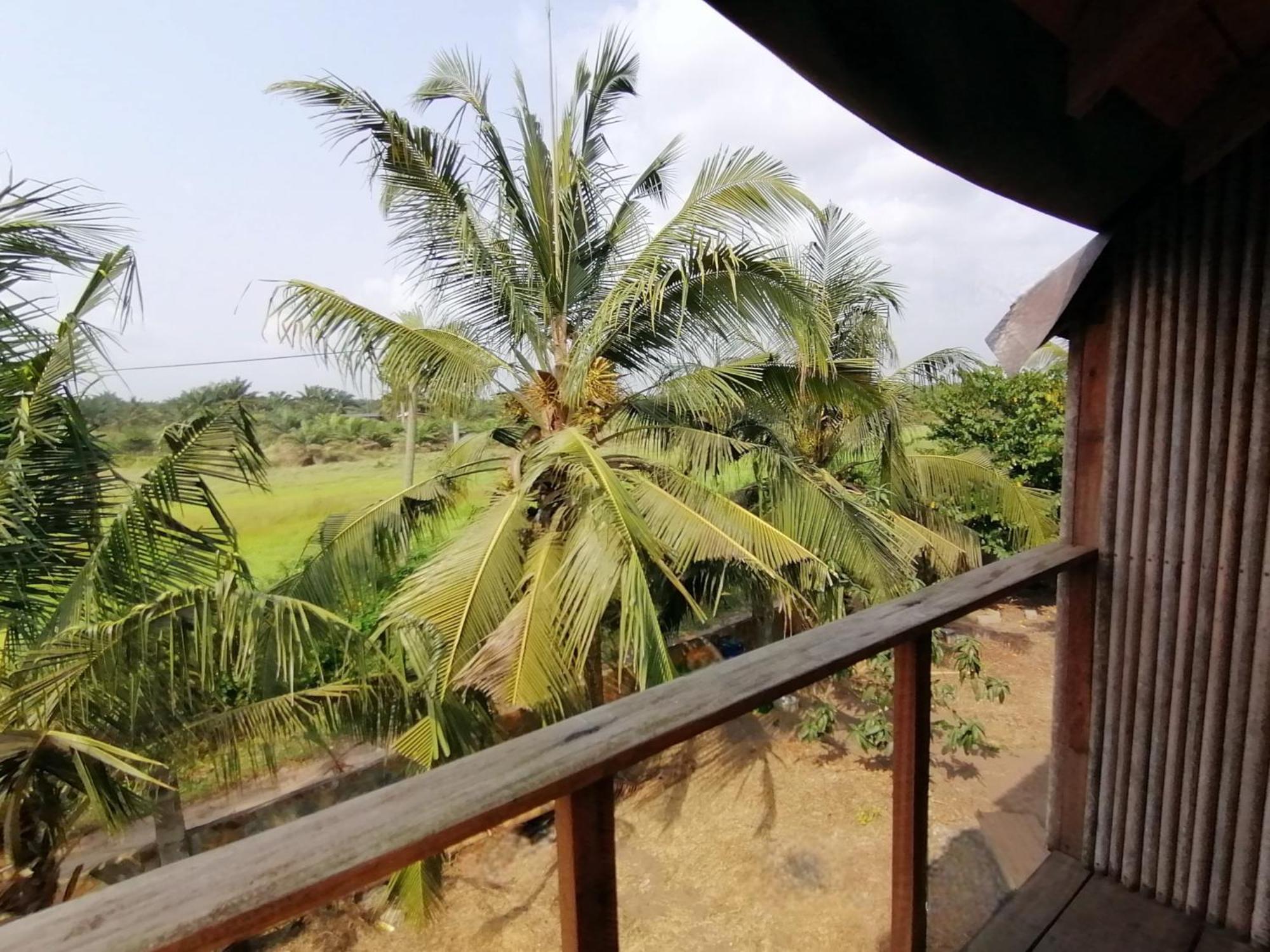 Afro Beach Eco Resort Butre Zimmer foto